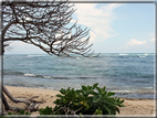 foto Spiagge dell'Isola di Oahu